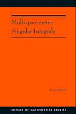 Multi-parameter Singular Integrals. (AM-189), Volume I