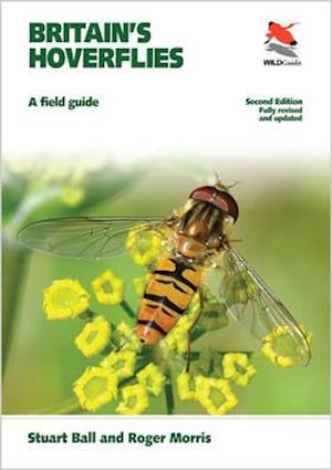 Britain's Hoverflies