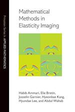 Mathematical Methods in Elasticity Imaging