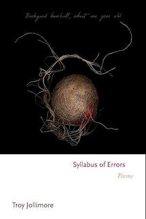 Syllabus of Errors