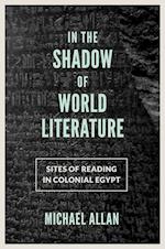 In the Shadow of World Literature