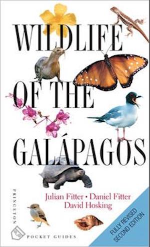 Wildlife of the Galapagos