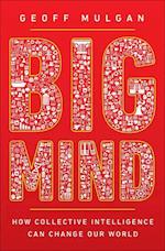 Big Mind
