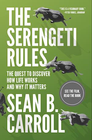 The Serengeti Rules