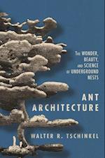 Ant Architecture
