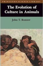 Evolution of Culture in Animals