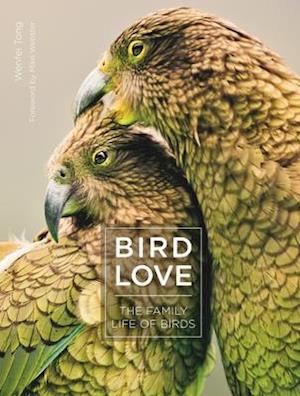 Bird Love