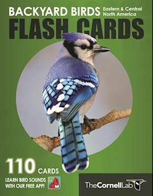 Backyard Birds Flash Cards - Eastern & Central North America