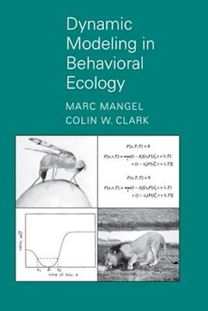 Dynamic Modeling in Behavioral Ecology