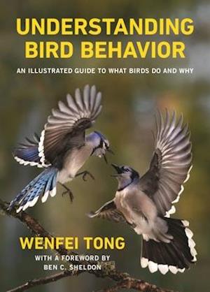 Understanding Bird Behavior