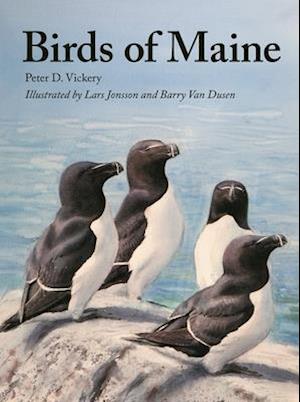 Birds of Maine