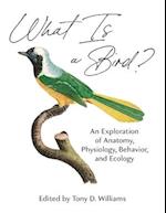 What Is a Bird?