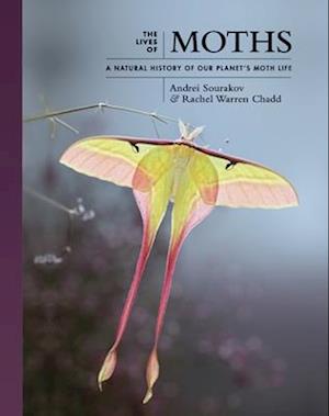 Lives of Moths