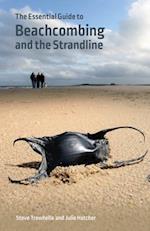 Essential Guide to Beachcombing and the Strandline