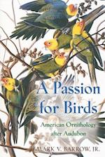 Passion for Birds