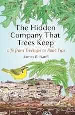 Hidden Company That Trees Keep