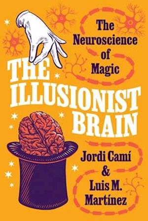 Illusionist Brain