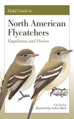 Field Guide to North American Flycatchers