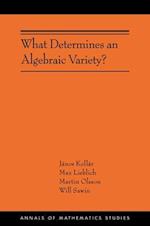 What Determines an Algebraic Variety?