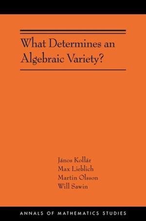 What Determines an Algebraic Variety?