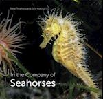 In the Company of Seahorses