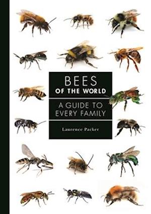 Bees of the World