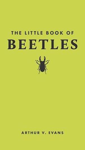 Little Book of Beetles