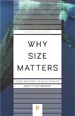 Why Size Matters