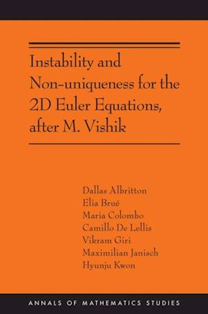 Instability and Non-uniqueness for the 2D Euler Equations, after M. Vishik