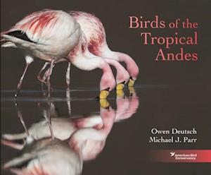 Birds of the Tropical Andes