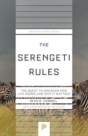 Serengeti Rules