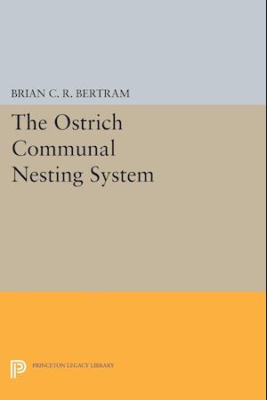 The Ostrich Communal Nesting System