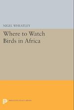 Where to Watch Birds in Africa