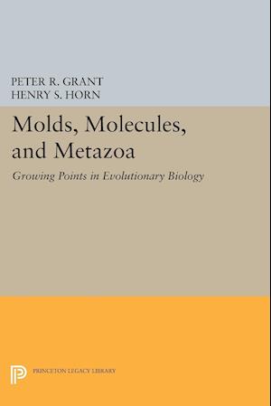 Molds, Molecules, and Metazoa