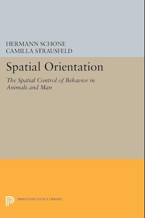 Spatial Orientation