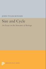 Size and Cycle