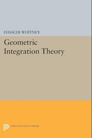 Geometric Integration Theory