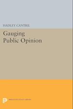 Gauging Public Opinion