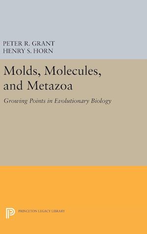 Molds, Molecules, and Metazoa