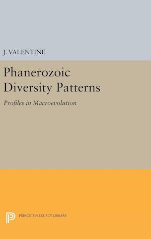 Phanerozoic Diversity Patterns