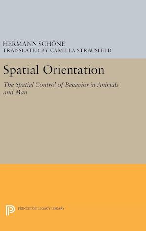 Spatial Orientation