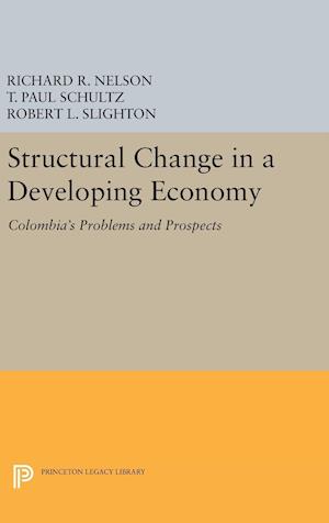 Structural Change in a Developing Economy