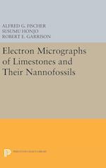 Electron Micrographs of Limestones and Their Nannofossils