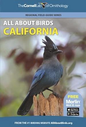 All About Birds California