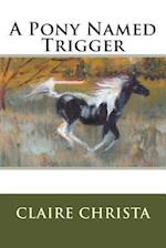 A Pony Named Trigger