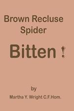 Brown Recluse Spider Bitten!