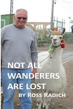 Not All Wanderers Are Lost