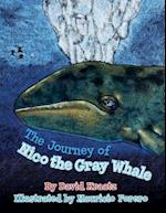 The Journey of Nico the Gray Whale