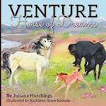 Venture, Horse of Dreams