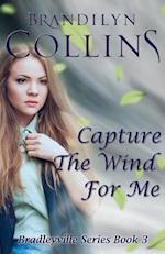 Capture the Wind for Me